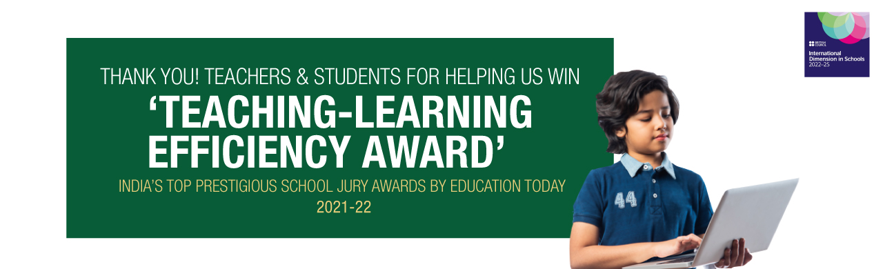 Teaching Learning Efficiency Award